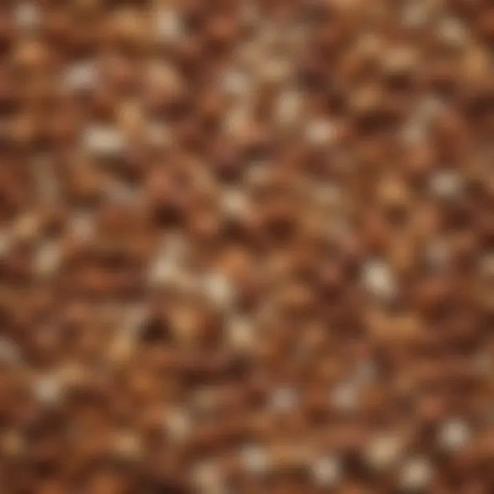 Assorted Nuts and Seeds for Balanced Nutrition