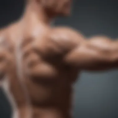 Evolving Upper Body Power Arm Strength Progression