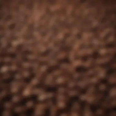 Captivating Aroma of Freshly Roasted Coffee Beans Aromatherapy of Coffee Beans