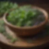 Aromatic herbs in wooden bowl