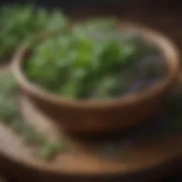 Aromatic herbs in wooden bowl