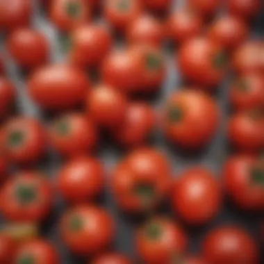 Sun-Ripened San Marzano Tomatoes