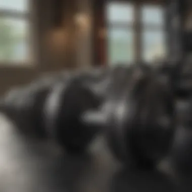 Dumbbells on a rack in a gym