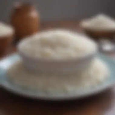 A plate of plain boiled white rice