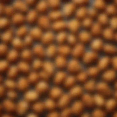 Nutritional Breakdown of Chick-fil-A Nuggets Nutritional analysis of chicken nuggets