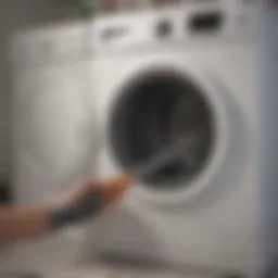 Clean dryer hose with brush