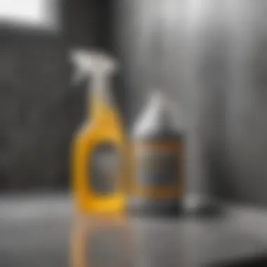 Effective Cleaning Solution for Gray Mold Cleaning solution for gray mold removal