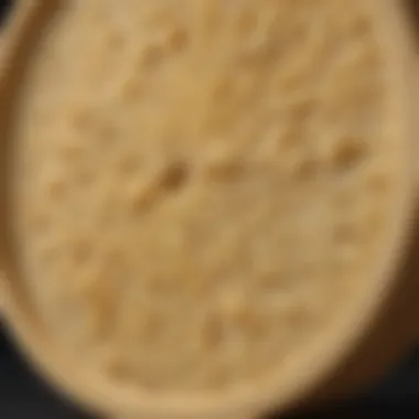 Close-up of Parmesan cheese wheel texture