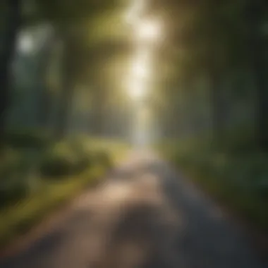 Scenic Cardio Path Outdoor jogging trail for cardiovascular fitness