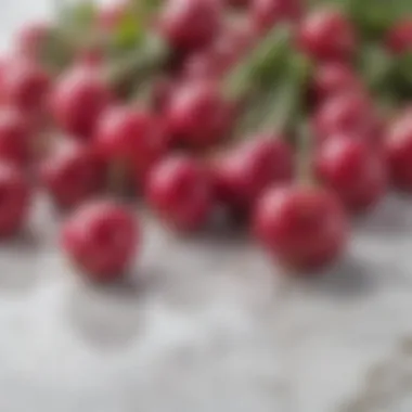 Crunchy radishes of various hues on a marble countertop