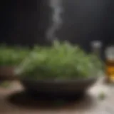 Aromatic Herb Infusion in Culinary Experiment