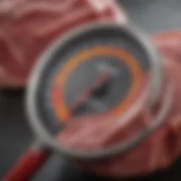 Close-up view of Curtis Stone meat thermometer displaying accurate temperature readings.