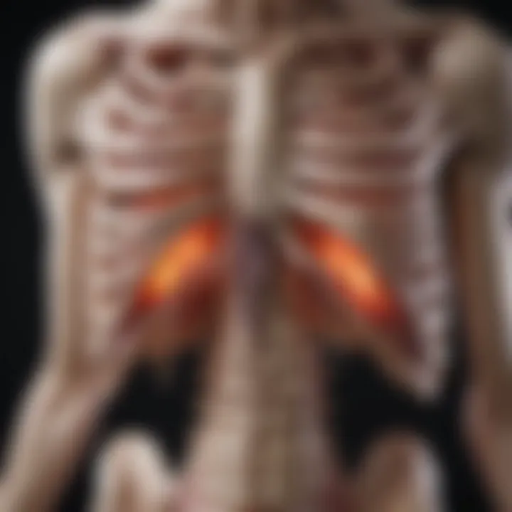 Diagnostic imaging scan of ribs and surrounding area