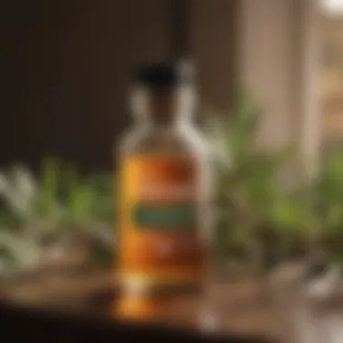 Purifying Benefits of Tea Tree Oil Tea Tree Essential Oil Bottle