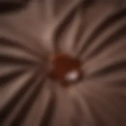 A detailed view of a chocolate-stained fabric showing the texture and color of the stain.