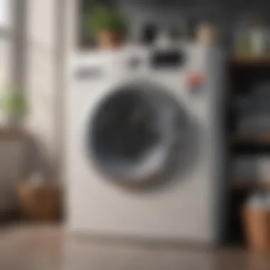 Efficient washer cleaning method with eco-friendly products