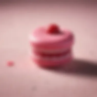 Elegant Raspberry Macaron Dessert