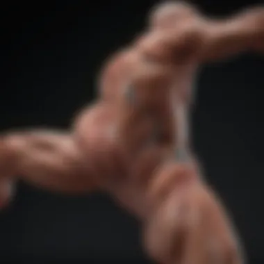 Dynamic Muscle Flow Abstract artistic representation of muscle fibers in motion