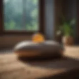 Zen Atmosphere for Relaxation Zen-like atmosphere promoting relaxation