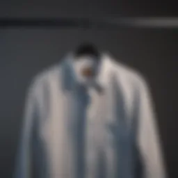 Crisply ironed shirt on hanger