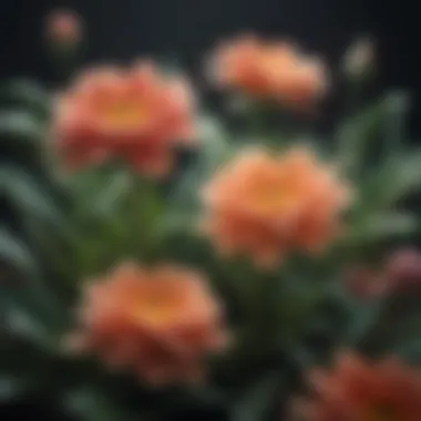 Floral Mindfulness Floral Mindfulness: An illustration of calming flowers to evoke mindfulness and peace