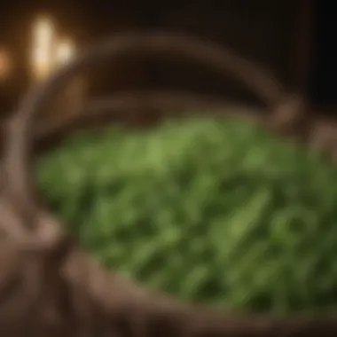 Freshly harvested vibrant green peas in a rustic basket