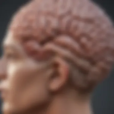 Symptoms of Brain Tumors Diagram showing symptoms related to brain tumors.