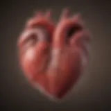 Tiny heart formation during fetal development