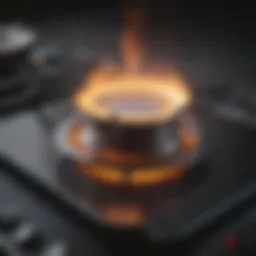 Close-up of a clean gas burner showing shine and detail