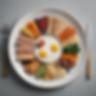 Balanced Macronutrient Plate A balanced plate showcasing various food groups emphasizing macronutrients.