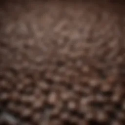 A selection of premium coffee beans arranged for brewing.