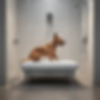 Innovative Canine Hygiene System