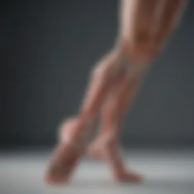 Legs muscle anatomy