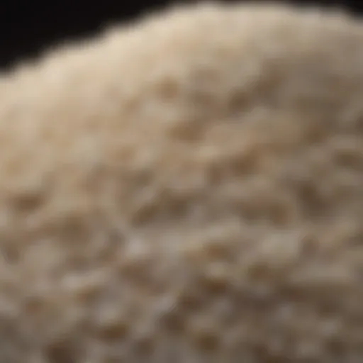 Exquisite Japanese rice grains close-up