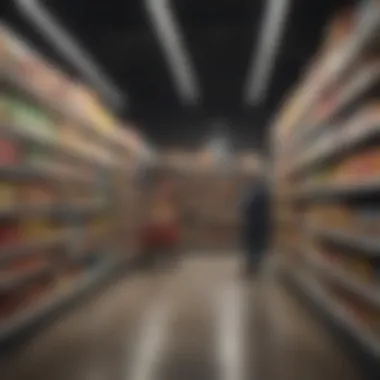 Abundance Display: Well-Stocked Shelves Customer browsing well-stocked shelves in a grocery store