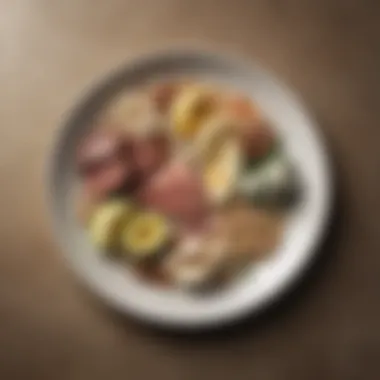 Balanced Plate of Healthy Fats and Proteins Artfully arranged plate of healthy fats and proteins