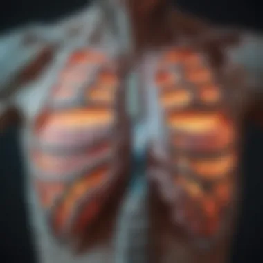 MRI scan displaying abnormalities near the lower left rib cage region