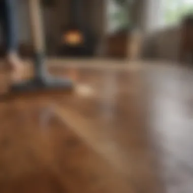 Natural cleaning alternatives for wood floors