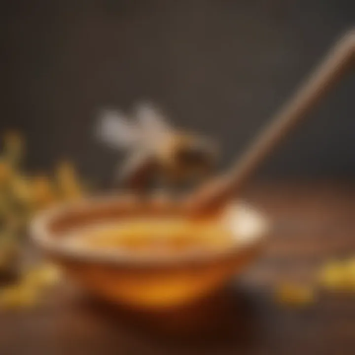 Honey in a wooden spoon with a bee