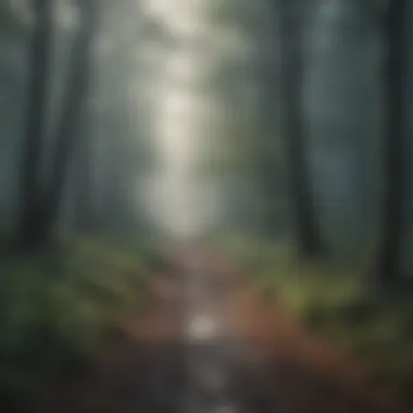 Path through a misty forest