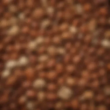 Nuts and Seeds for Stronger Hair A close-up of nuts and seeds packed with nutrients for hair health