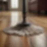 Elegant mop with polished hardwood floor