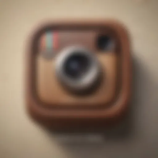 Elegant typographic design showcasing Instagram bio optimization