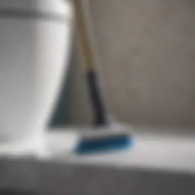 Sustainable Solutions for Pristine Cleanliness Eco-friendly features of Looeegee toilet squeegee