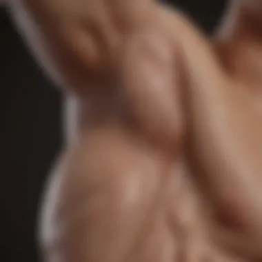 Chiseled Arm Definition Sculpted Arm Muscles