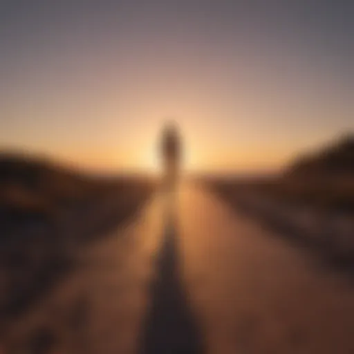 Silhouette of a person walking at sunset