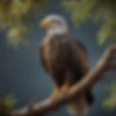 A close-up of an American eagle perched on a branch, symbolizing strength and freedom