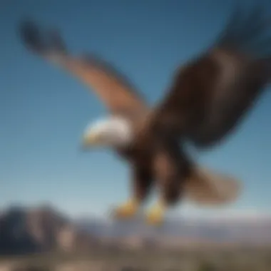 A majestic American eagle in flight showcasing its powerful wingspan against a clear blue sky