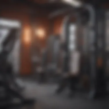 Diverse Equipment for Varied Routines Variety of workout equipment in a gym