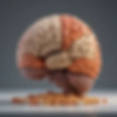 Essential Nutrients for Brain Health An infographic illustrating essential nutrients for brain health